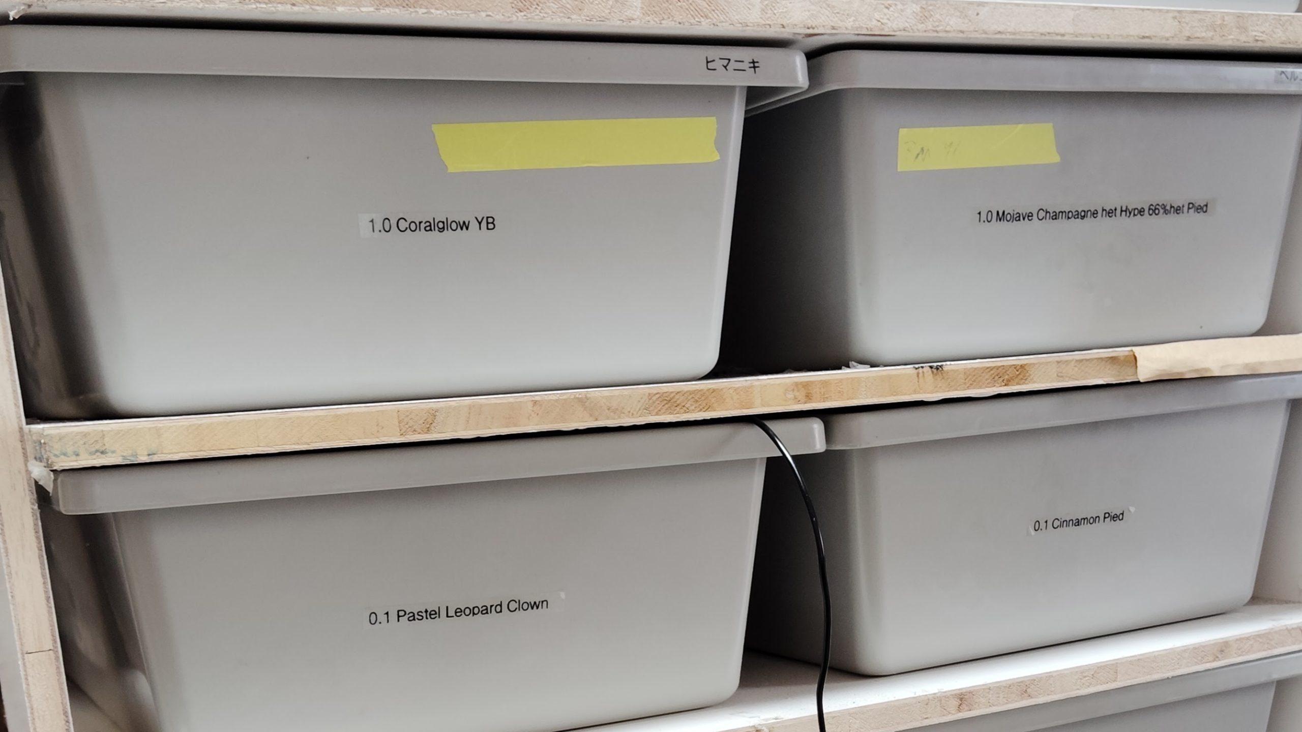 スネークラック 自作 スネークラックを雑に自作しました - YouTube